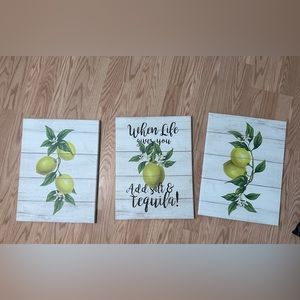 3 piece lemon canvas wall decor